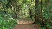 Fage_24_09-81