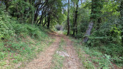 Fage_24_09-83