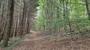 Fage_24_09-84