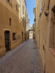Junas_24_02-104