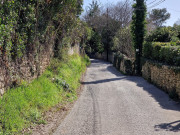 Junas_24_02-106