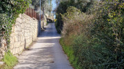 Junas_24_02-109