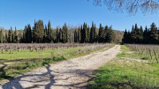 Junas_24_02-112