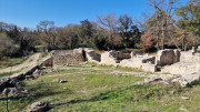 Junas_24_02-115