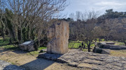 Junas_24_02-20