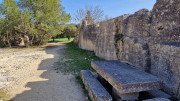 Junas_24_02-22