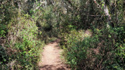 Junas_24_02-33