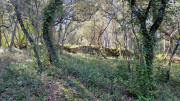 Junas_24_02-34