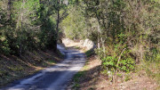 Junas_24_02-35