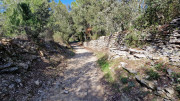 Junas_24_02-36