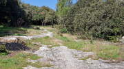 Junas_24_02-42