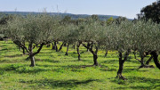 Junas_24_02-43