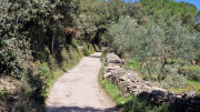 Junas_24_02-44