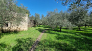 Junas_24_02-49