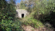 Junas_24_02-50