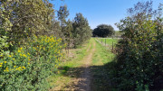 Junas_24_02-52
