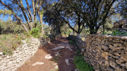 Junas_24_02-53