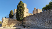 Junas_24_02-64