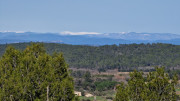 Junas_24_02-68