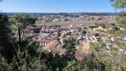 Junas_24_02-69