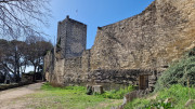 Junas_24_02-77