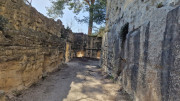 Junas_24_02-78