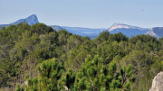 Junas_24_02-9
