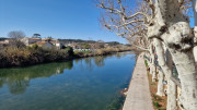 Junas_24_02-98