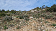 Mourgues_24_02-14
