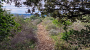 Mourgues_24_02-29