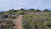 Mourgues_24_02-30