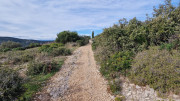 Mourgues_24_02-35