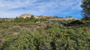 Mourgues_24_02-4