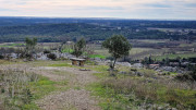 Mourgues_24_02-63