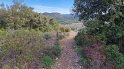Mourgues_24_02-66