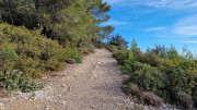 Mourgues_24_02-7