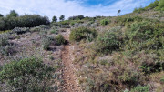 Mourgues_24_02-73