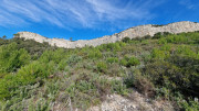 Mourgues_24_02-76