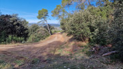 Mourgues_24_02-77