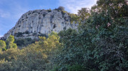 Mourgues_24_02-81