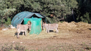 Mourgues_24_02-82