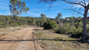 Mourgues_24_02-85