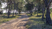 Mourgues_24_02-87
