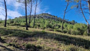 Mourgues_24_02-88