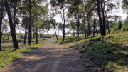 Mourgues_24_02-90