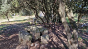 Mourgues_24_02-91