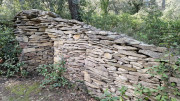 Nages4_24_03-139