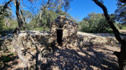 Nages4_24_03-181