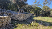 Nages4_24_03-191