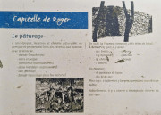 Nages4_24_03-21